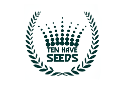 Ten Have Seeds is dé specialist in graszaadmengsels. Voor elk gewenst gebruikersdoel is een uniek graszaadmengsel. Een goede prijs-kwaliteithouding is leidend voor alle producten van Ten Have Seeds.
<br>
</br>
<b>Green Star:</b> Deze graszaadmengsels leveren topprestaties op sportvelden, gazons, recreatieterreinen, bermen en dijken.
<br>
</br>
<b>Field Star:</b> graszaadmengsels voor veeteelt. Te gebruiken voor maaien, beweiden, structuur en smakelijkheid.
<br>
</br>
<b>Horse Star:</b> Een compleet pakket kant-en-klare graszaadmengsels voor gezonde en vitale p