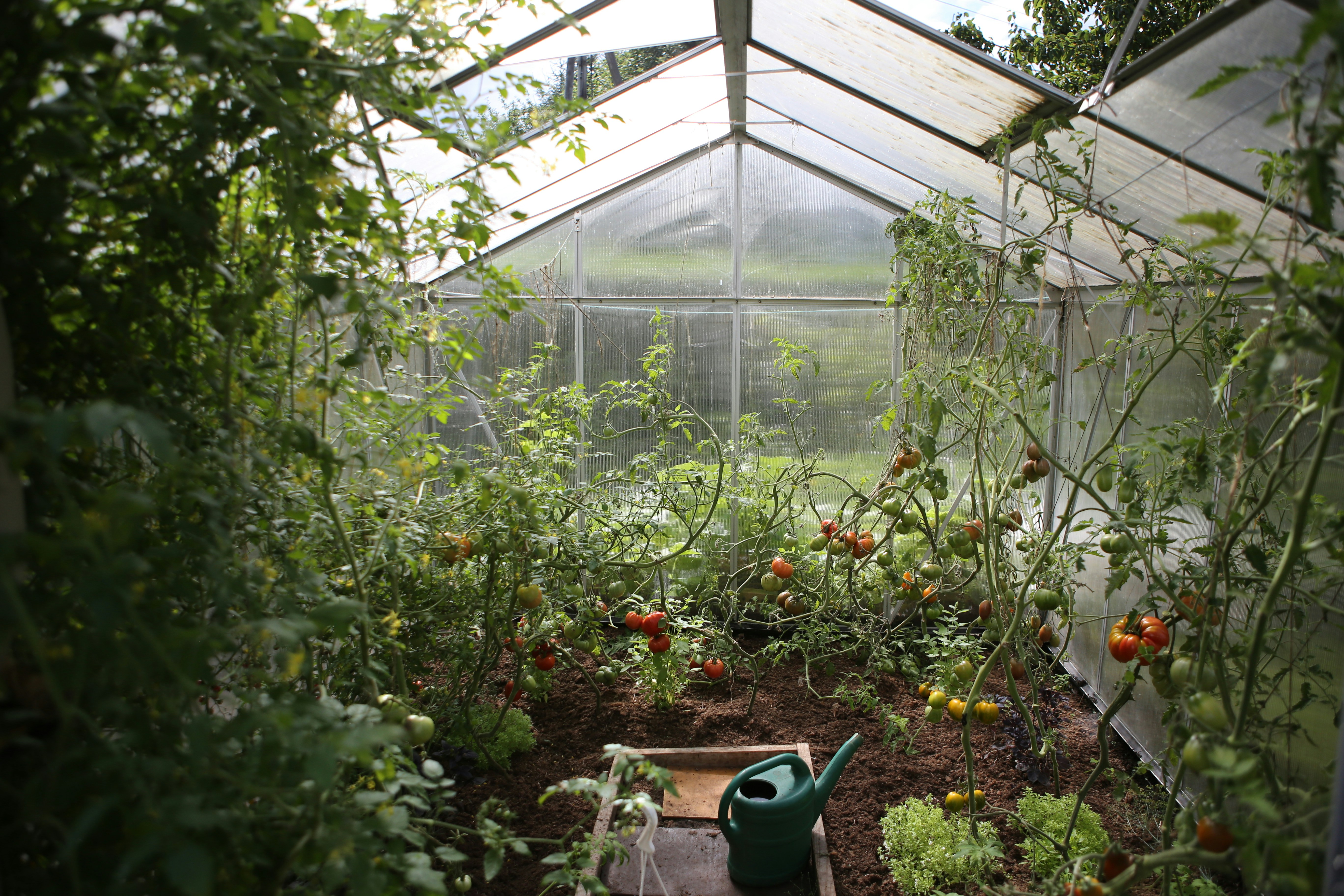 Huis & Tuin