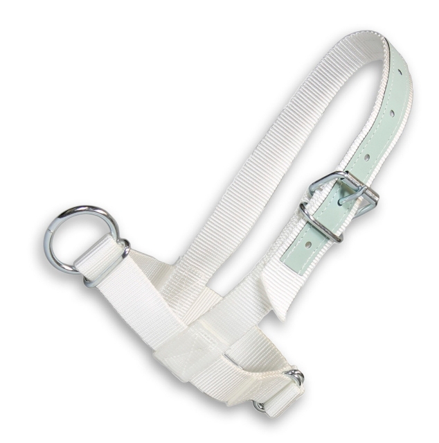 Halster show kalf, wit met leer, 40mm