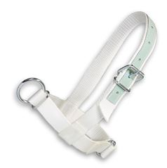 Halster show kalf, wit met leer, 40mm