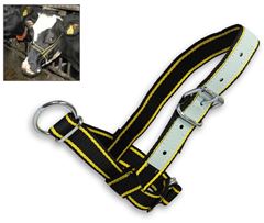 Halster show pink zwrt-geel m leer 40mm