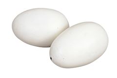 Nesteieren van hout, 2st