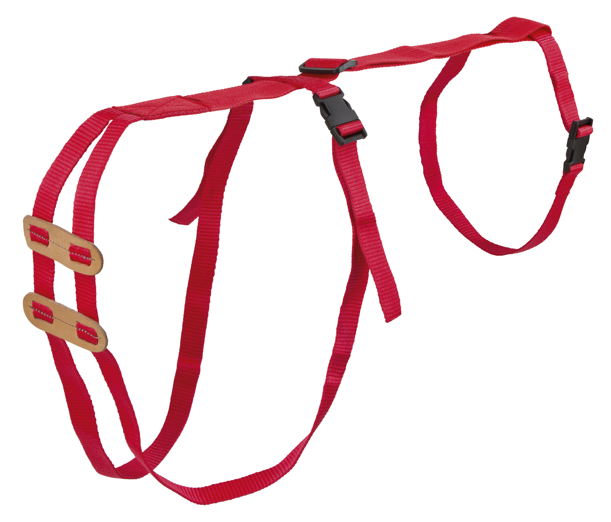 Prolaps tuigje schaap