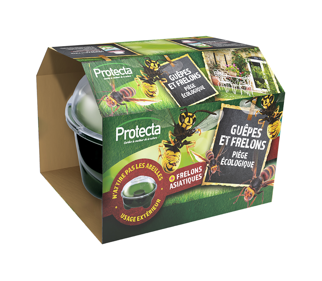 Aziatische Hoornaar val met lokstof