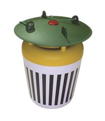 Black Stripe trechterval Vrac