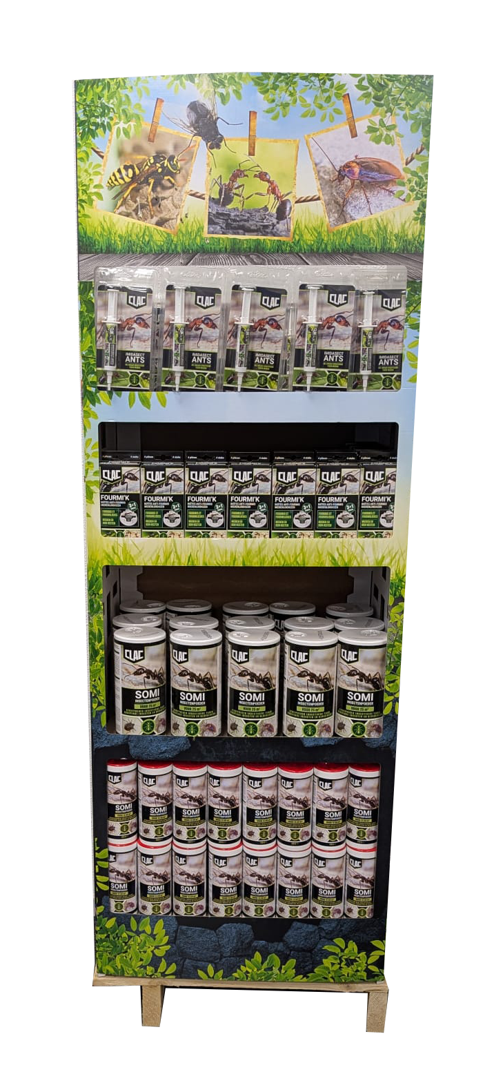 Display Clac Kruipende insecten NL