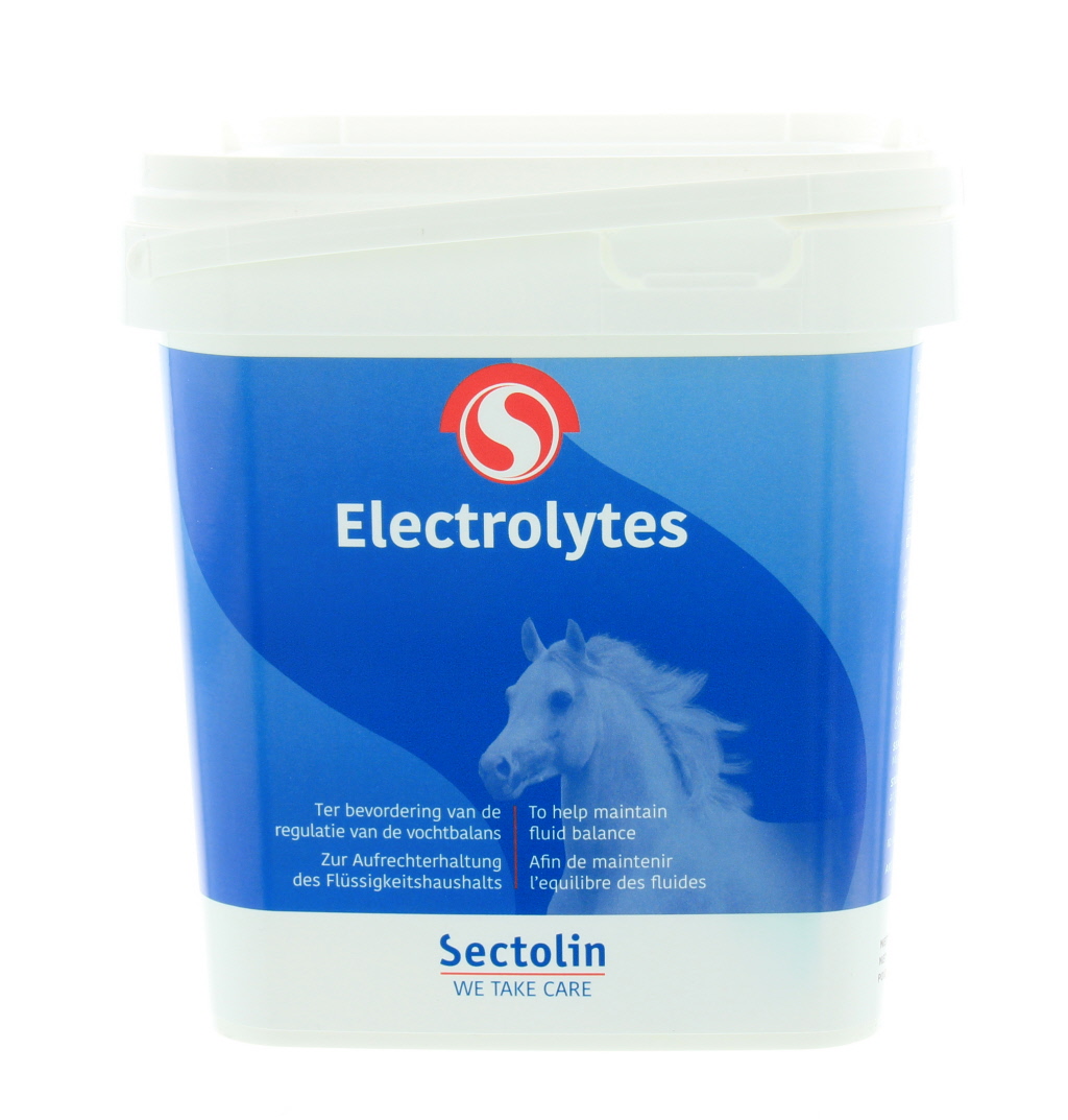 Sectolin Electrolytes paard 1kg