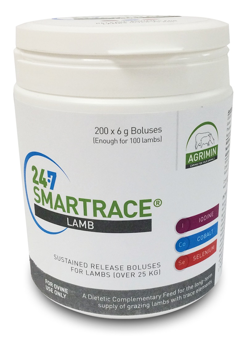 Smartrace Lamb Bolus 200pcs