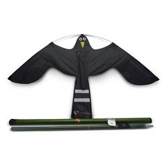 Black Hawk Kite 10m