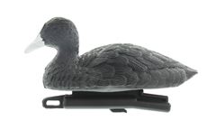 Meerkoet imitatie
