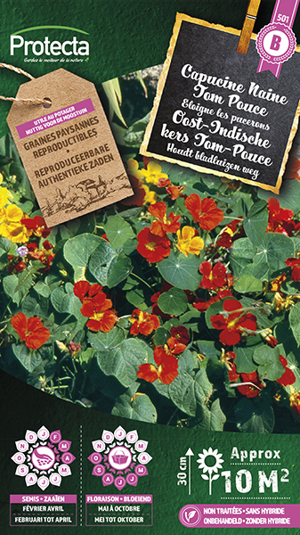 Oost-Indische kers Tom-Pouce Gemengd