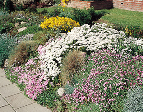 Bloemenmengsel laag meerjarig, 250g
