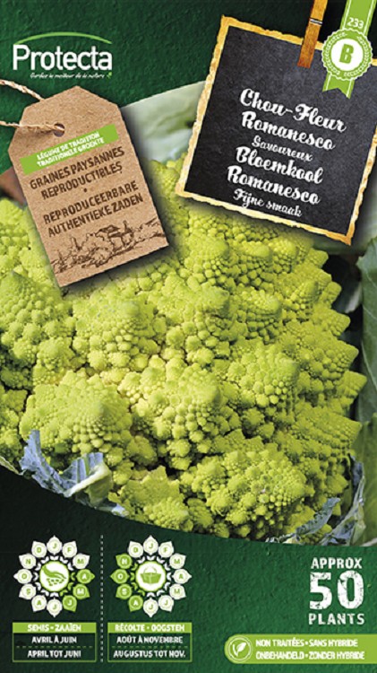 Bloemkool Romanesco