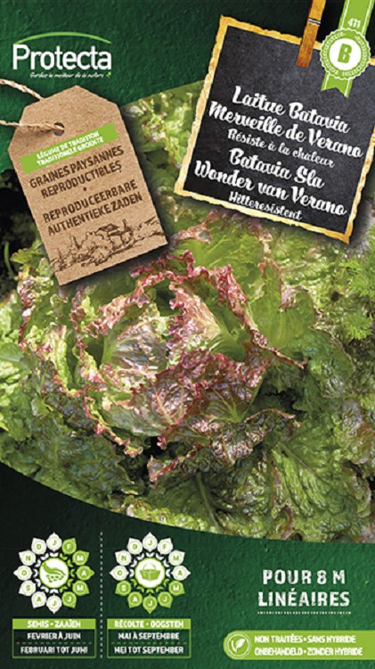 Batavia Sla Wonder van Verano